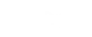 Meta partner