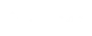 Shopify partner