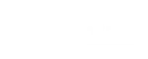 Stripe partner