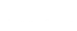 TikTok partner